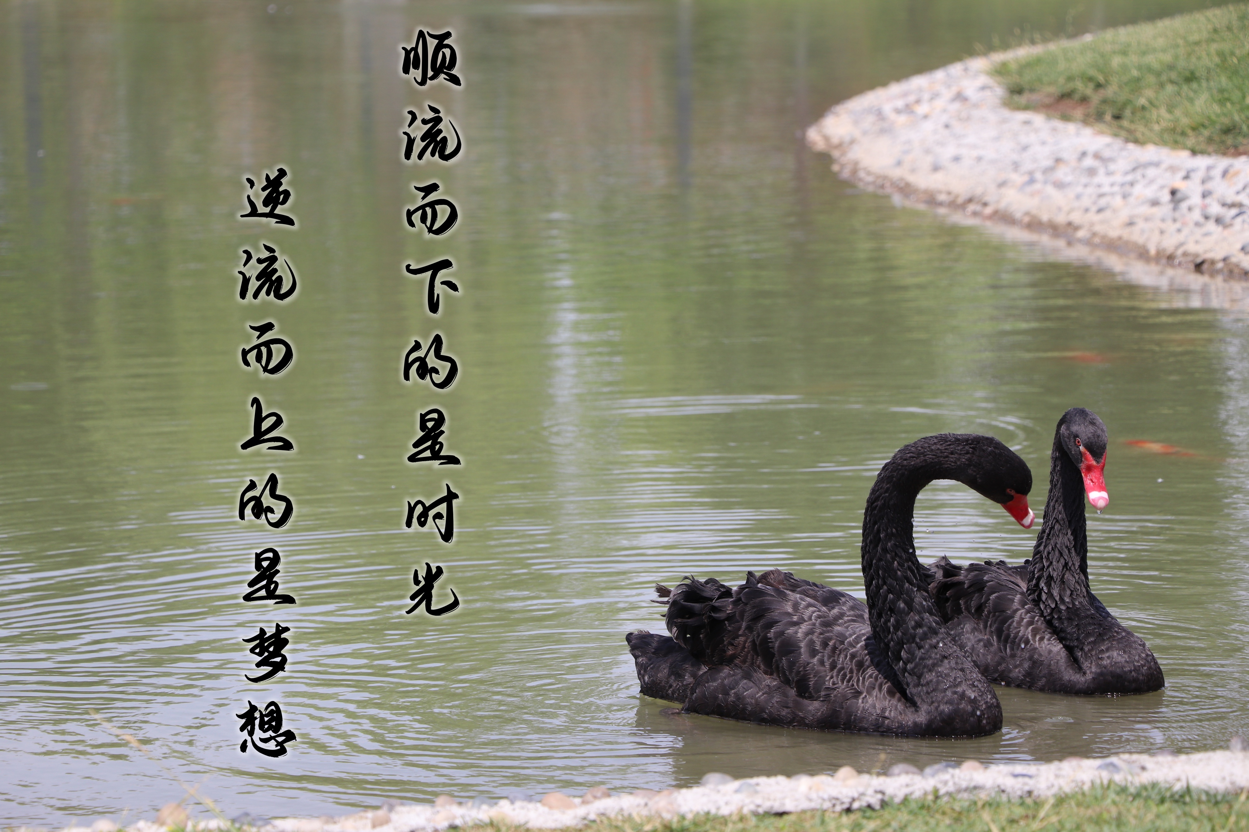 【濟(jì)寧大運(yùn)河駕?！壳の炊?，超越自我無(wú)悔青春！(圖5)