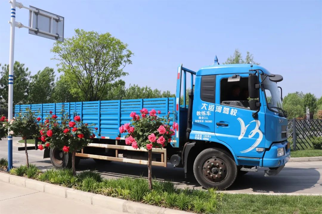 【濟寧大運河駕?！课逅那嗄旯?jié)丨致青春，充實自己，來學車！(圖3)