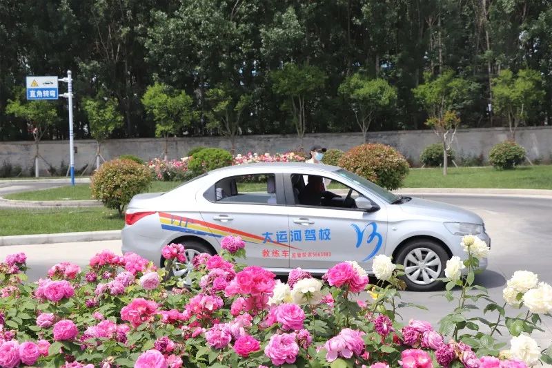 【濟(jì)寧大運(yùn)河駕?！磕赣H節(jié)丨感恩有您，陪我長大(圖2)