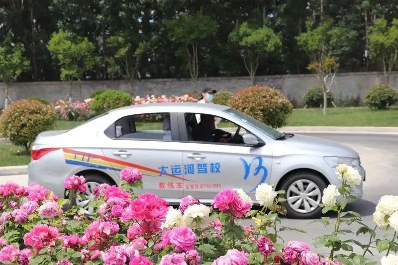 【濟寧大運河駕校】第十屆“學(xué)車夏令營”火爆開啟！(圖2)
