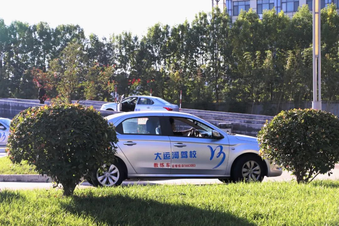 【濟寧大運河駕校】才感晚秋，忽而立冬丨共賞校園初冬美景~(圖7)